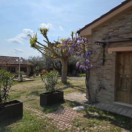 Appartamento Casa Sabbatini SantʼElpidio a Mare Esterno foto