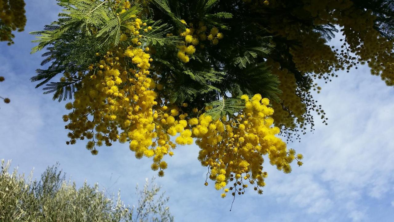 Appartamento Casa Sabbatini SantʼElpidio a Mare Esterno foto