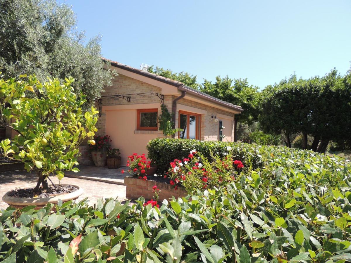 Appartamento Casa Sabbatini SantʼElpidio a Mare Esterno foto